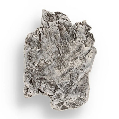 Get your Aletai Iron Meteorite – Textured Natural Iron online now or in store at Forever Gems in Franschhoek, South Africa
