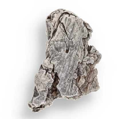 Get your 42g Aletai Meteorite – Hold a Fragment of Earth’s Biggest Fall! online now or in store at Forever Gems in Franschhoek, South Africa