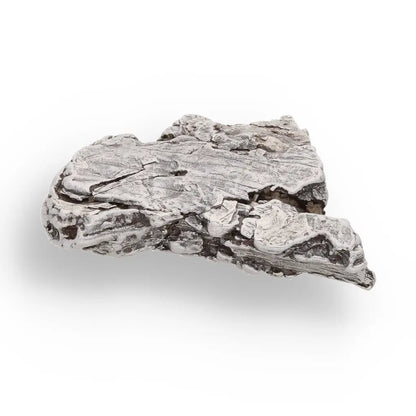 Get your 42g Aletai Meteorite – Hold a Fragment of Earth’s Biggest Fall! online now or in store at Forever Gems in Franschhoek, South Africa