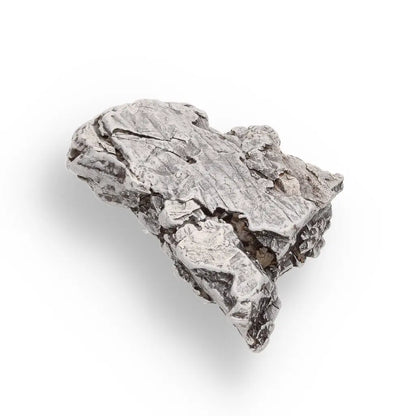 Get your 42g Aletai Meteorite – Hold a Fragment of Earth’s Biggest Fall! online now or in store at Forever Gems in Franschhoek, South Africa