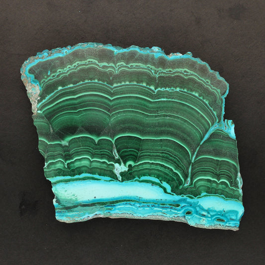 Buy your Banded Malachite Slice With Chrysocolla (Malacholla) online now or in store at Forever Gems in Franschhoek, South Africa