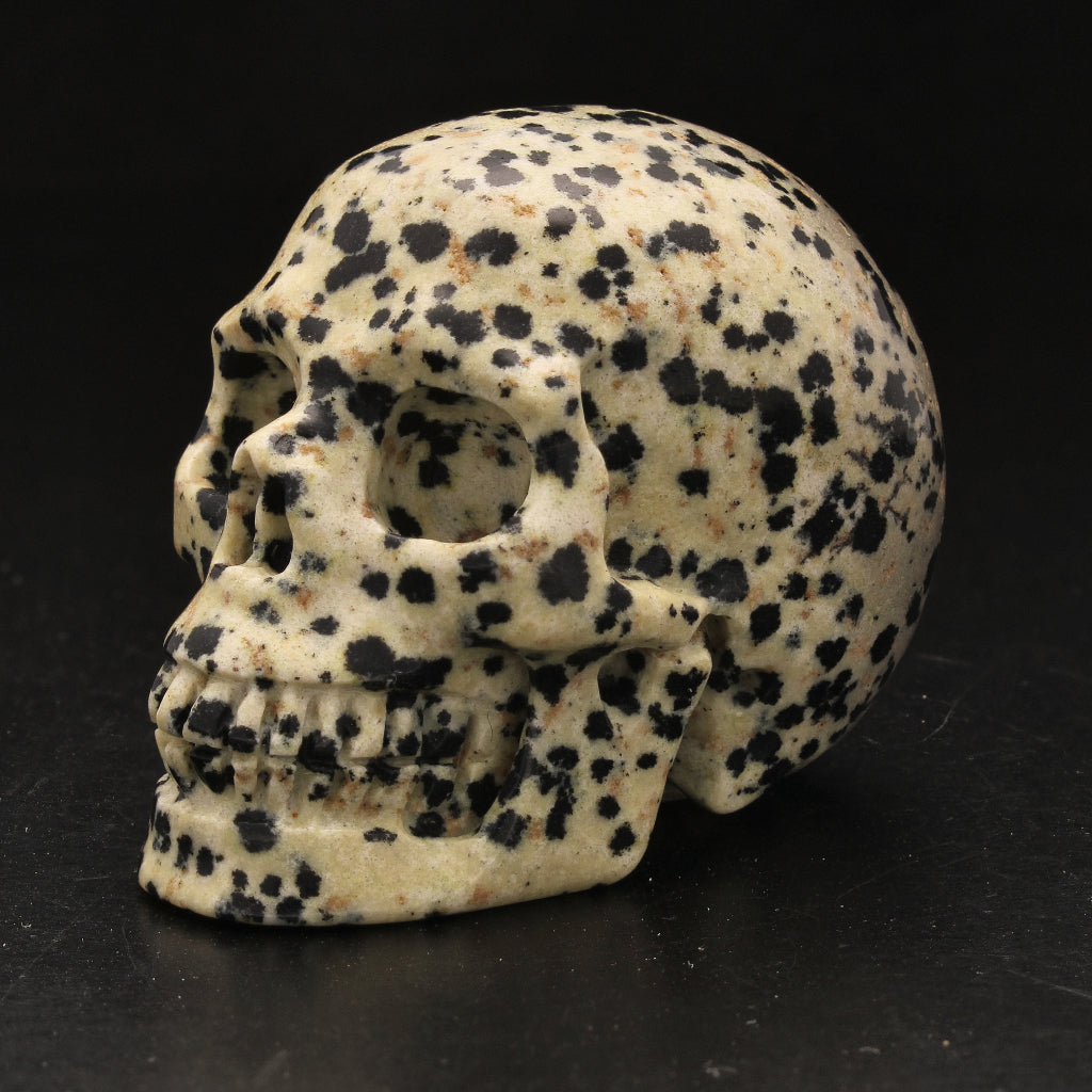 Buy your Balancing Dalamtian Jasper Crystal Skull online now or in store at Forever Gems in Franschhoek, South Africa