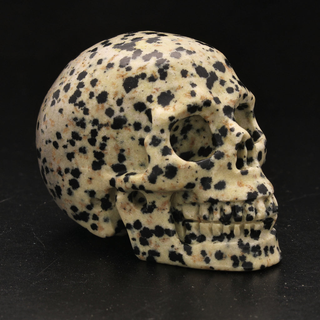 Buy your Balancing Dalamtian Jasper Crystal Skull online now or in store at Forever Gems in Franschhoek, South Africa