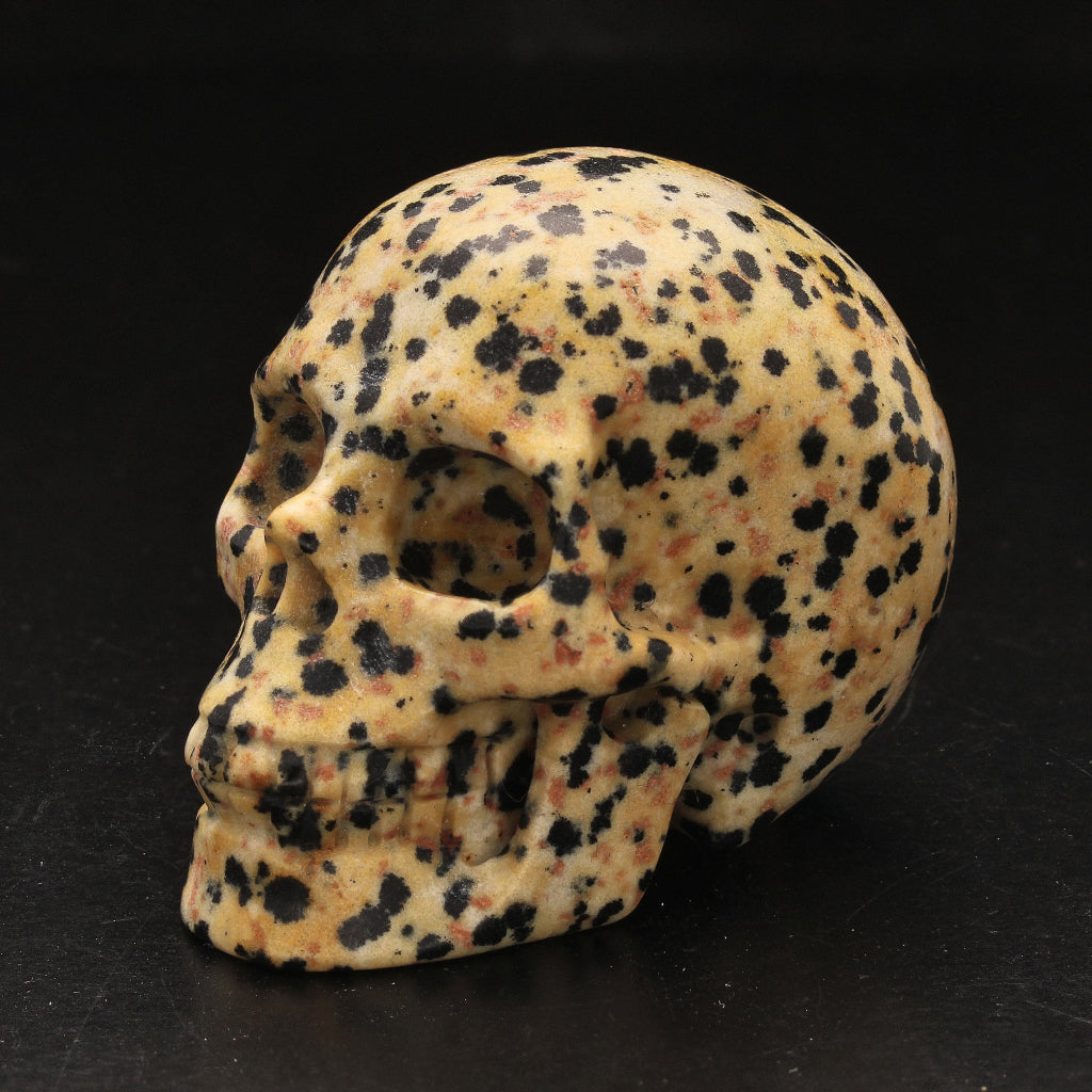 Buy your Earthy Dalamtian Jasper Crystal Skull online now or in store at Forever Gems in Franschhoek, South Africa