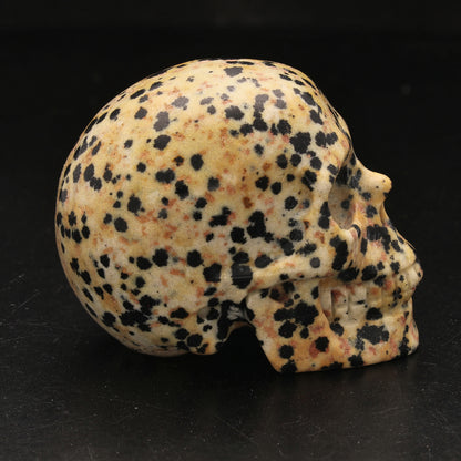 Buy your Earthy Dalamtian Jasper Crystal Skull online now or in store at Forever Gems in Franschhoek, South Africa