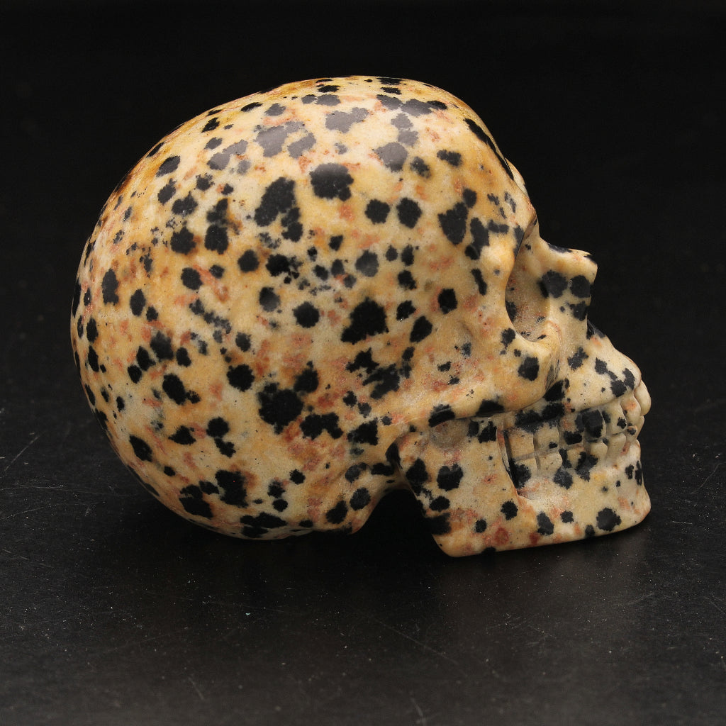 Buy your Grounding Dalamtian Jasper Crystal Skull online now or in store at Forever Gems in Franschhoek, South Africa