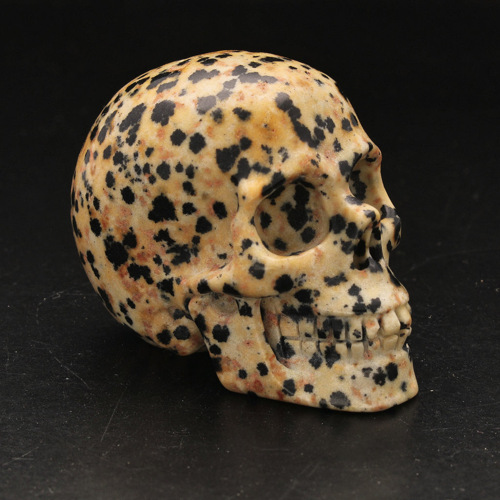 Buy your Grounding Dalamtian Jasper Crystal Skull online now or in store at Forever Gems in Franschhoek, South Africa