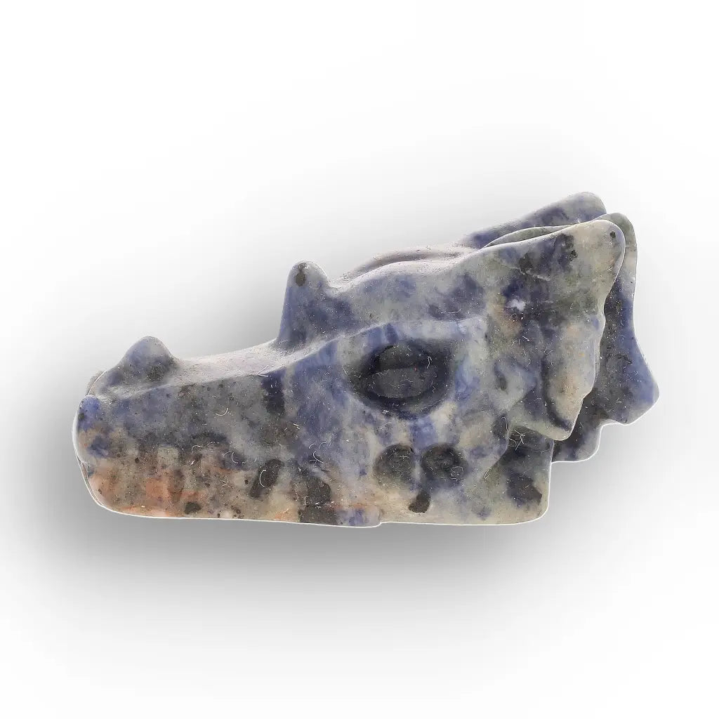 Sodalite Dragon Skull with Natural Blue and White Patterns