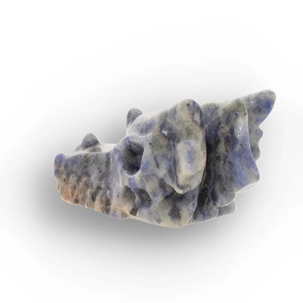 Sodalite Dragon Skull with Natural Blue and White Patterns
