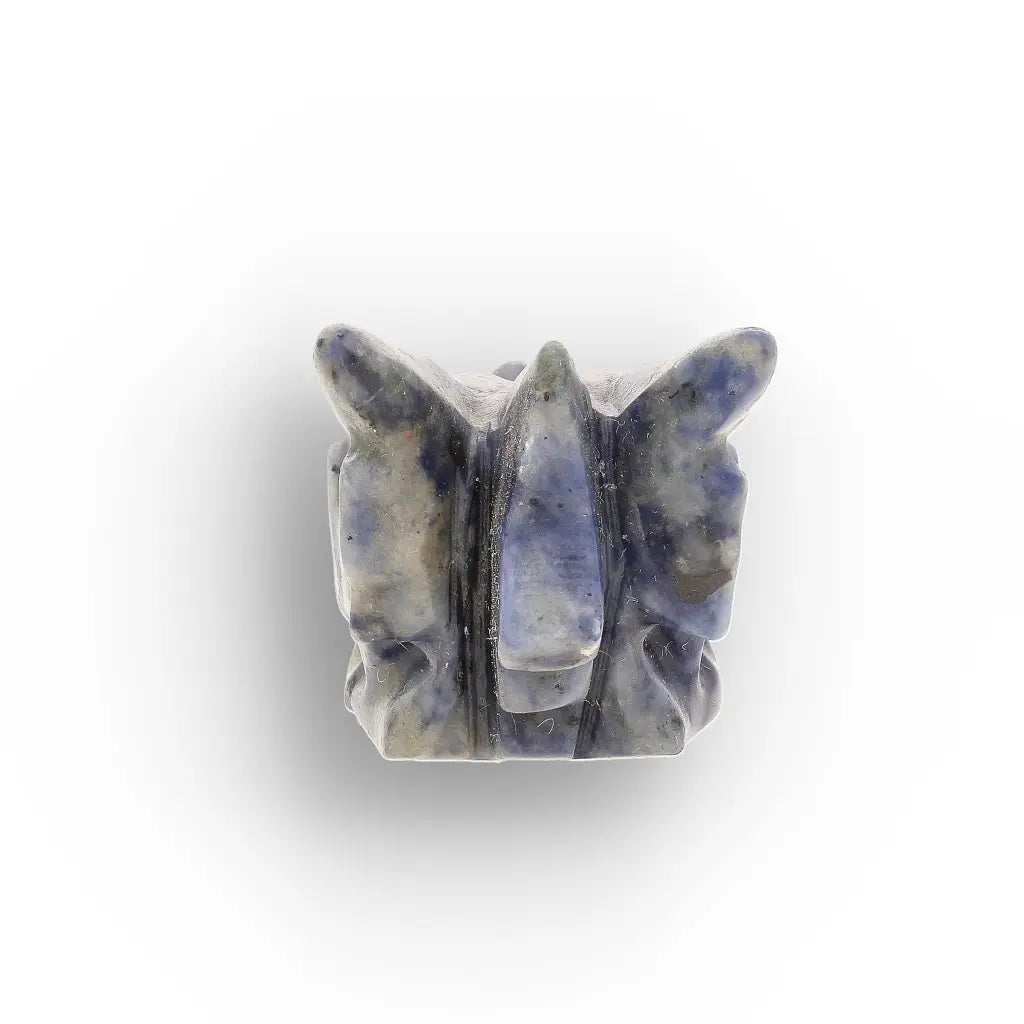 Sodalite Dragon Skull with Natural Blue and White Patterns
