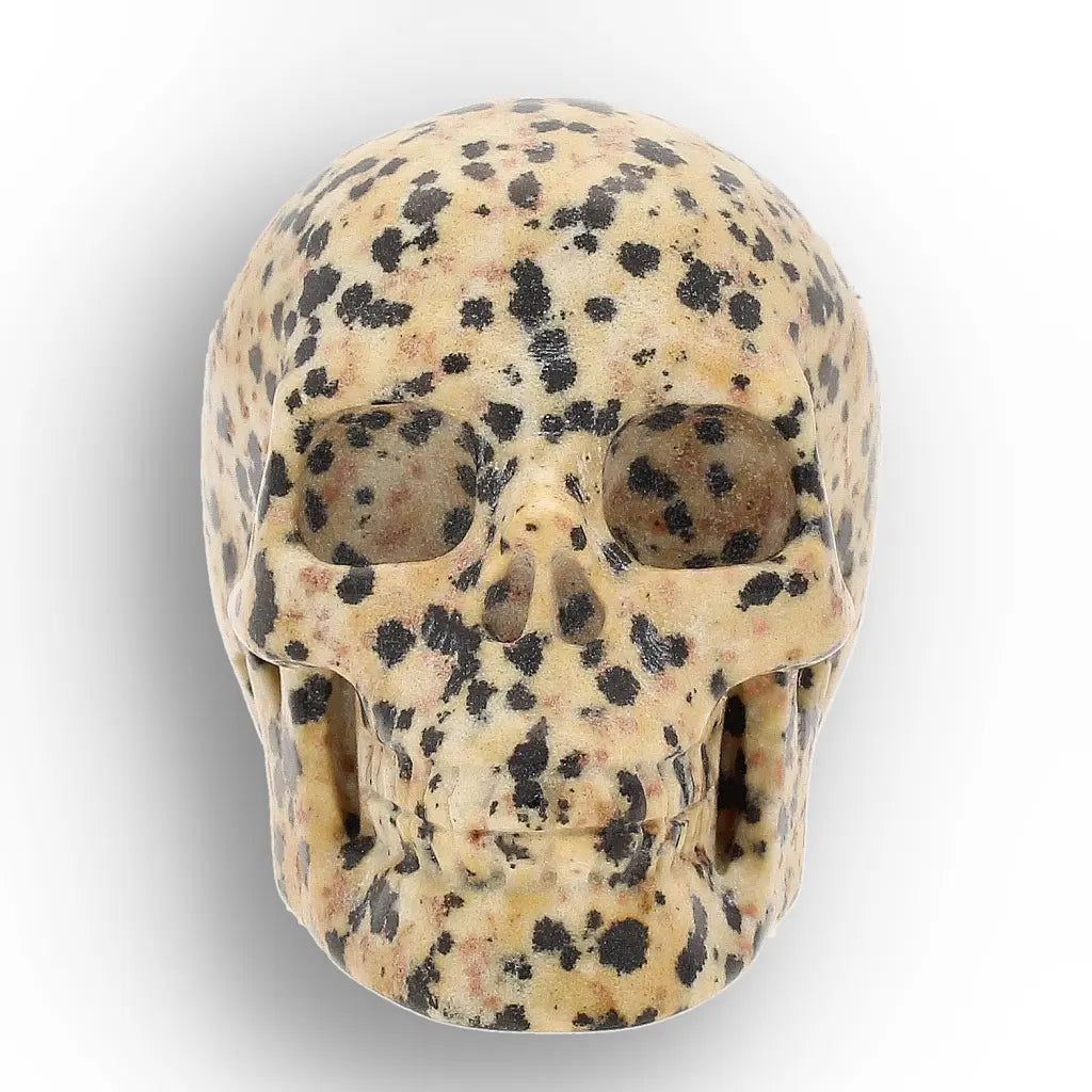 Get your Dalmatian Jasper Skull Carving – Grounding & Joy Crystal Skull online now or in store at Forever Gems in Franschhoek, South Africa