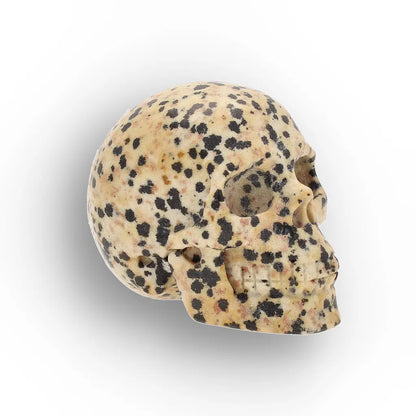 Get your Dalmatian Jasper Skull Carving – Grounding & Joy Crystal Skull online now or in store at Forever Gems in Franschhoek, South Africa