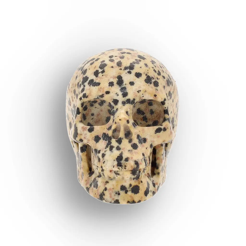 Get your Dalmatian Jasper Skull Carving – Grounding & Joy Crystal Skull online now or in store at Forever Gems in Franschhoek, South Africa