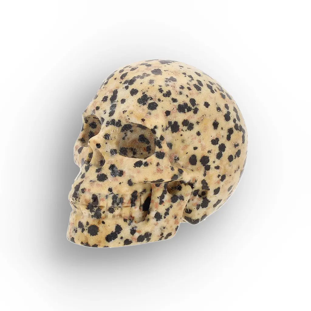Get your Dalmatian Jasper Skull Carving – Grounding & Joy Crystal Skull online now or in store at Forever Gems in Franschhoek, South Africa