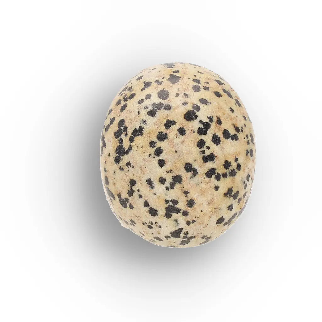 Get your Dalmatian Jasper Skull Carving – Grounding & Joy Crystal Skull online now or in store at Forever Gems in Franschhoek, South Africa