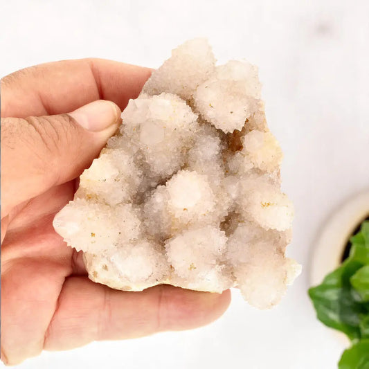 Buy your Cactus Quartz from Boekenhoutshoek: Unique White Gem online now or in store at Forever Gems in Franschhoek, South Africa