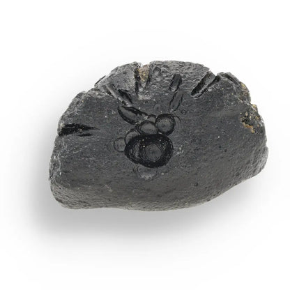 Get your Indochinite Tektite - Southeast Asia's Legendary Impact Glass Treasure online now or in store at Forever Gems in Franschhoek, South Africa