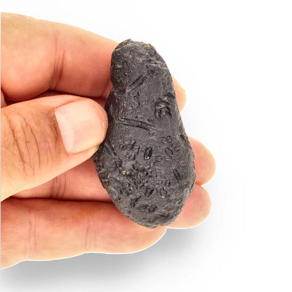 Get your Indochinite Tektite - Genuine Sky Stone from Earth's Cosmic Catastrophe online now or in store at Forever Gems in Franschhoek, South Africa