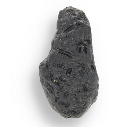 Get your Indochinite Tektite - Genuine Sky Stone from Earth's Cosmic Catastrophe online now or in store at Forever Gems in Franschhoek, South Africa