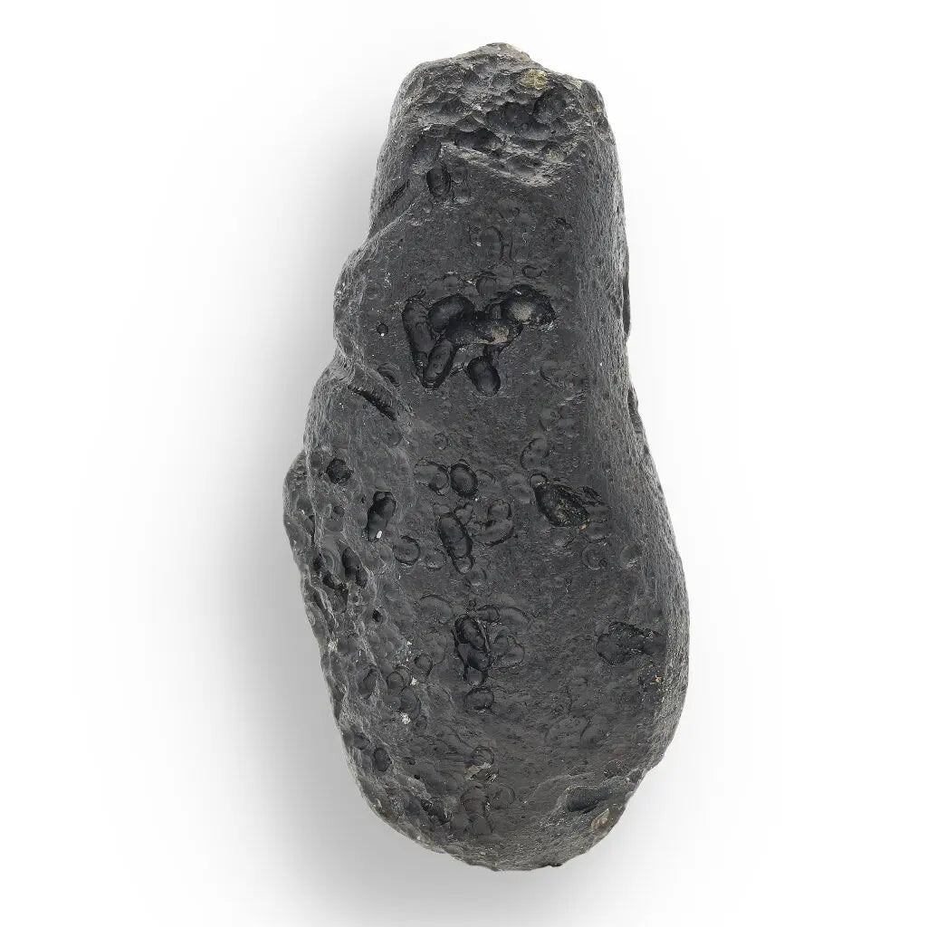 Get your Indochinite Tektite - Genuine Sky Stone from Earth's Cosmic Catastrophe online now or in store at Forever Gems in Franschhoek, South Africa