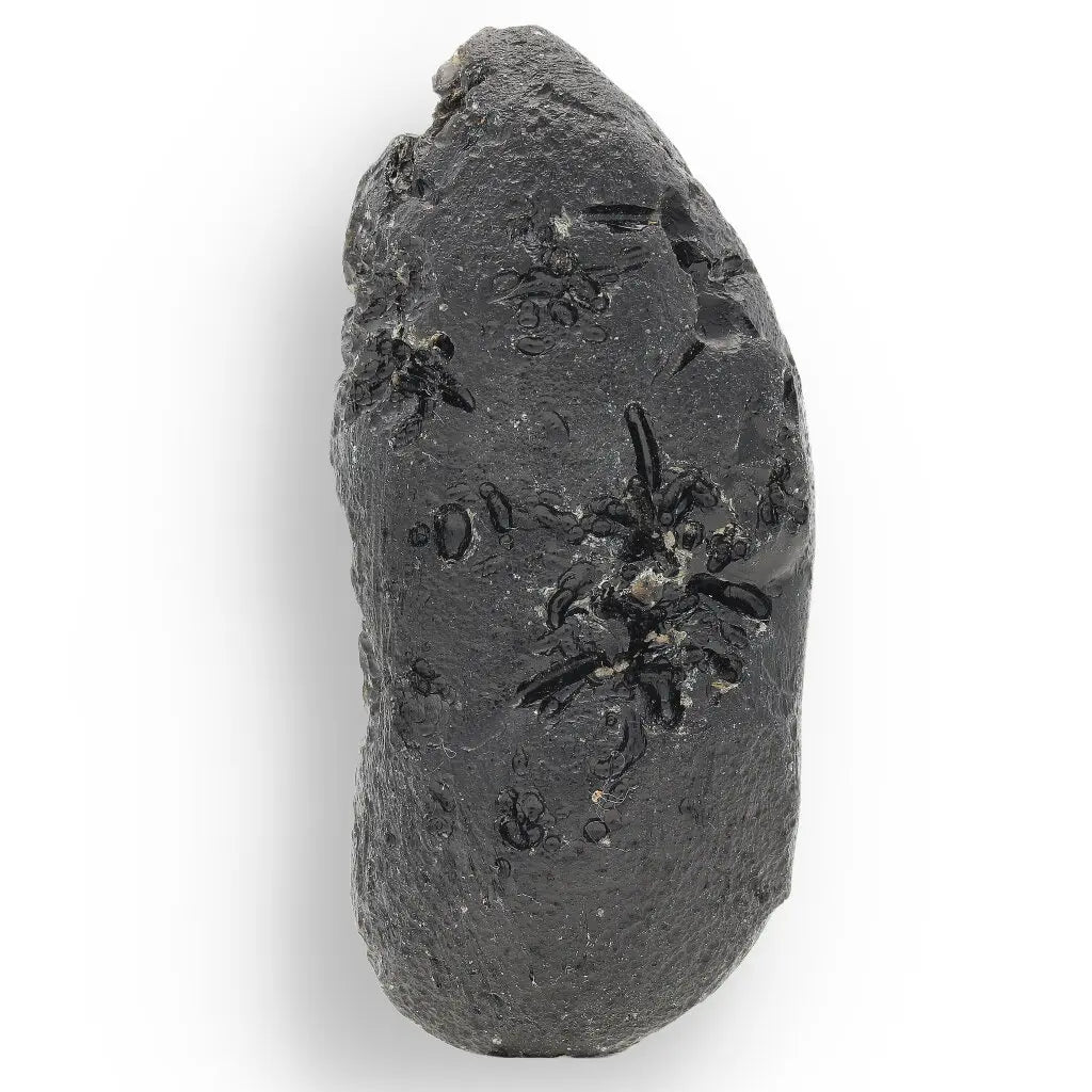 Get your Indochinite Tektite - Cosmic Glass Droplet from the Ultimate Impact Zone online now or in store at Forever Gems in Franschhoek, South Africa