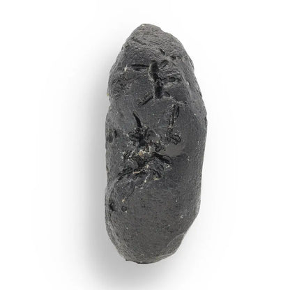 Get your Indochinite Tektite - Cosmic Glass Droplet from the Ultimate Impact Zone online now or in store at Forever Gems in Franschhoek, South Africa