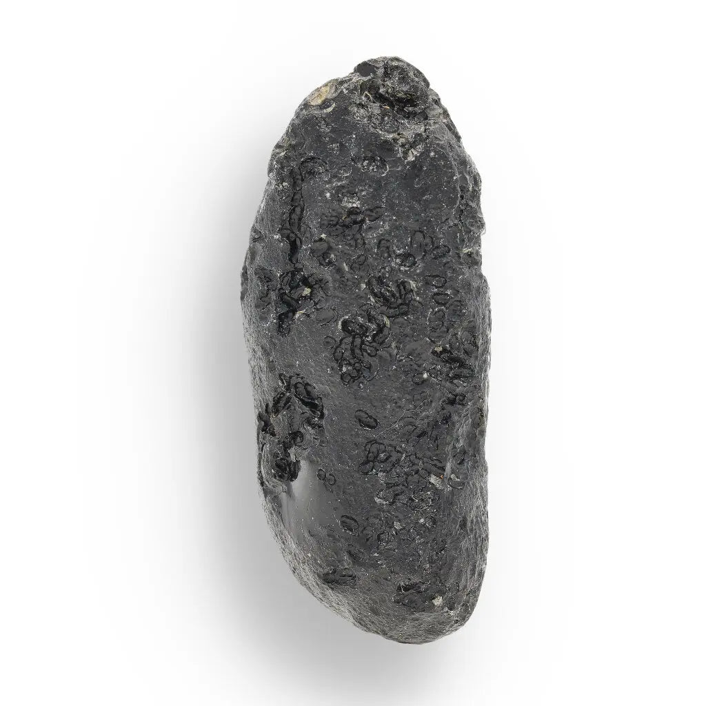 Get your Indochinite Tektite - Cosmic Glass Droplet from the Ultimate Impact Zone online now or in store at Forever Gems in Franschhoek, South Africa