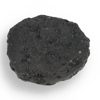 Get your Indochinite Tektite - The Rock That Flew to Space and Back online now or in store at Forever Gems in Franschhoek, South Africa