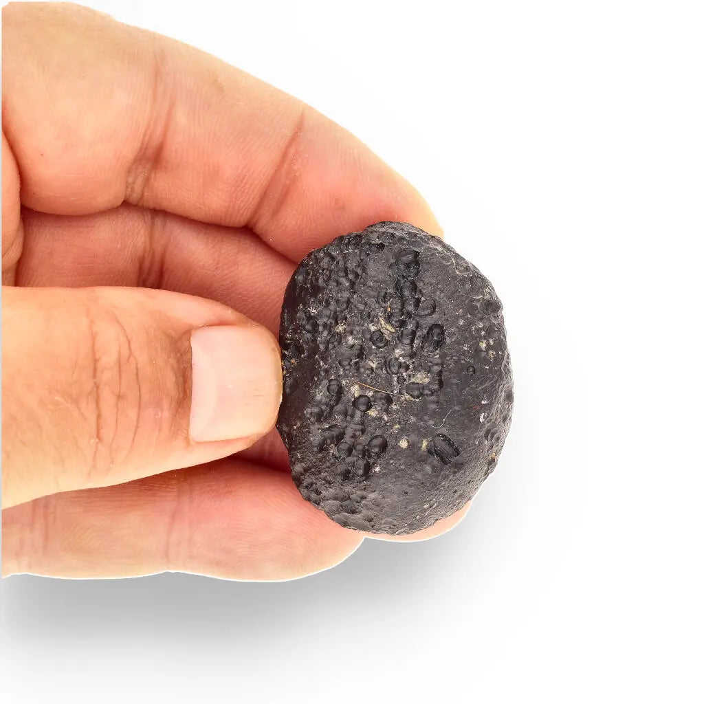 Get your Indochinite Tektite - Your Personal Piece of Earth's Asteroid Apocalypse online now or in store at Forever Gems in Franschhoek, South Africa