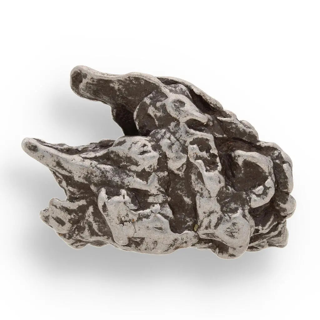 Buy your 17g Campo del Cielo Space Relic – Ancient Iron from the Sky online now or in store at Forever Gems in Franschhoek, South Africa