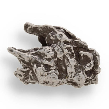 Buy your 17g Campo del Cielo Space Relic – Ancient Iron from the Sky online now or in store at Forever Gems in Franschhoek, South Africa