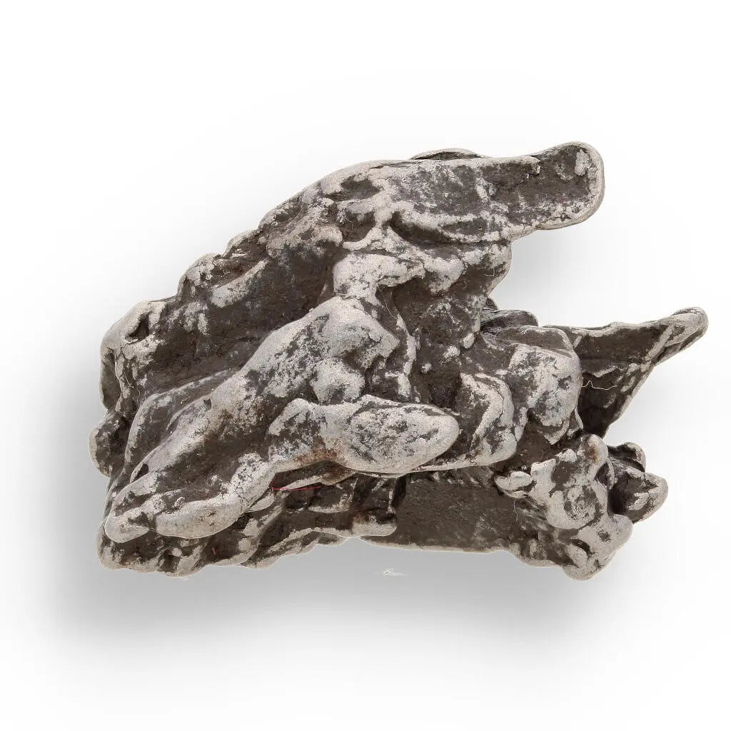 Buy your 17g Campo del Cielo Space Relic – Ancient Iron from the Sky online now or in store at Forever Gems in Franschhoek, South Africa