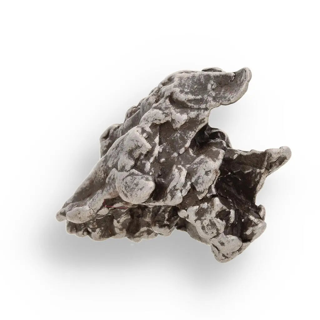 Buy your 17g Campo del Cielo Space Relic – Ancient Iron from the Sky online now or in store at Forever Gems in Franschhoek, South Africa