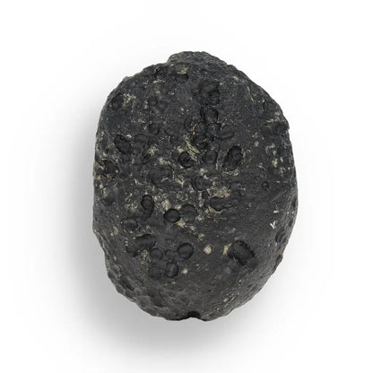 Get your Indochinite Tektite - Your Personal Piece of Earth's Asteroid Apocalypse online now or in store at Forever Gems in Franschhoek, South Africa