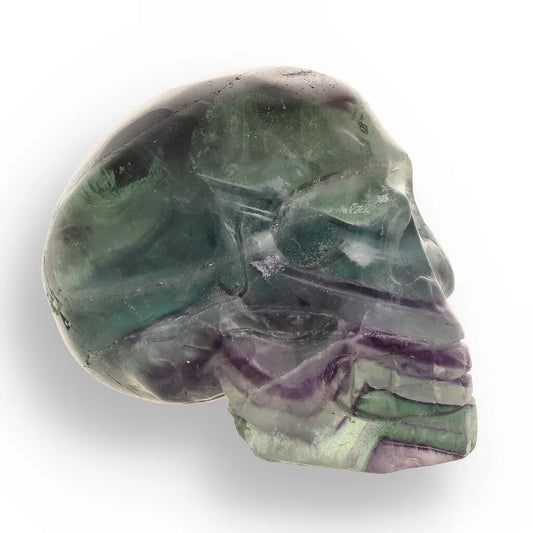 Buy your Crystal Wisdom: Hand-Carved Fluorite Skull online now or in store at Forever Gems in Franschhoek, South Africa