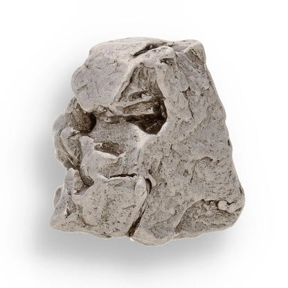 Buy your 20g Campo del Cielo Space Relic – Space Rock with a Story online now or in store at Forever Gems in Franschhoek, South Africa