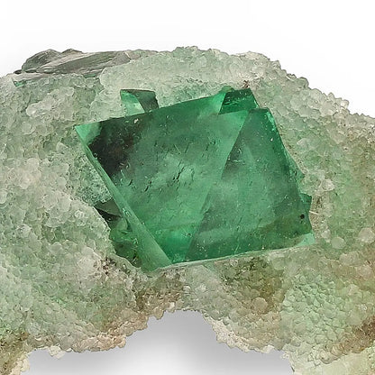 Get your Exceptional Green Fluorite Octahedron with Purple Core on White Druzy Quartz - Riemvasmaak, Northern Cape, South Africa online now or in store at Forever Gems in Franschhoek, South Africa