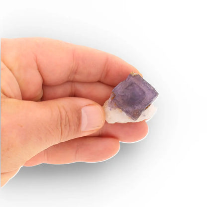 Striking Purple Fluorite on Quartz, Steinkopf South Africa