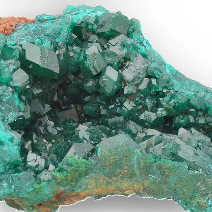 Dioptase Crystal Cluster on Matrix – Mindouli, Congo