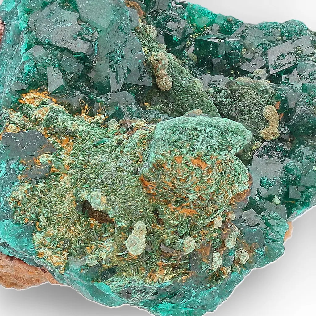 Dioptase and Malachite on Matrix – Mindouli, Congo