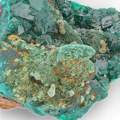 Dioptase and Malachite on Matrix – Mindouli, Congo