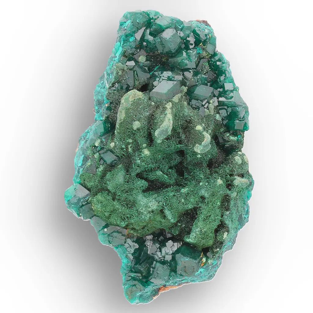 Dioptase and Malachite on Matrix – Mindouli, Congo