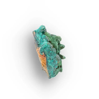 Dioptase and Malachite on Matrix – Mindouli, Congo
