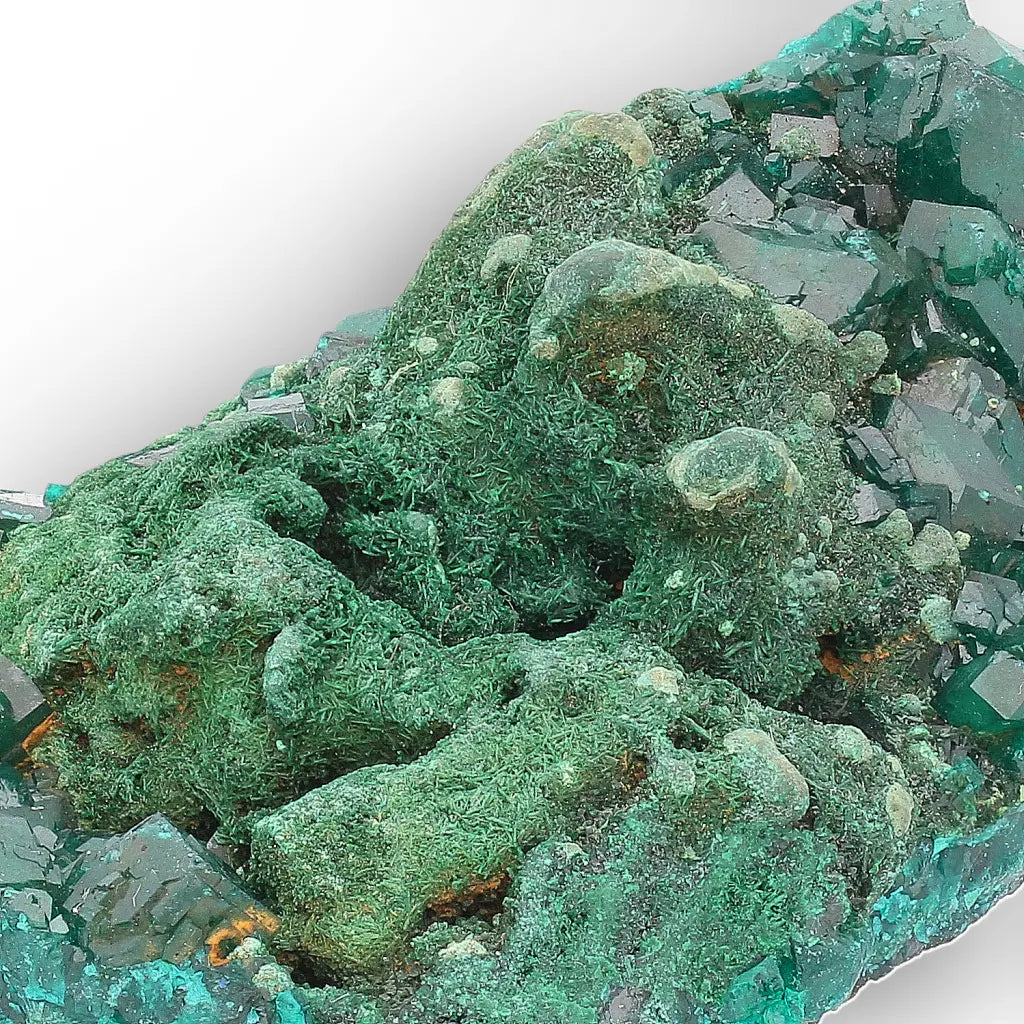 Dioptase and Malachite on Matrix – Mindouli, Congo