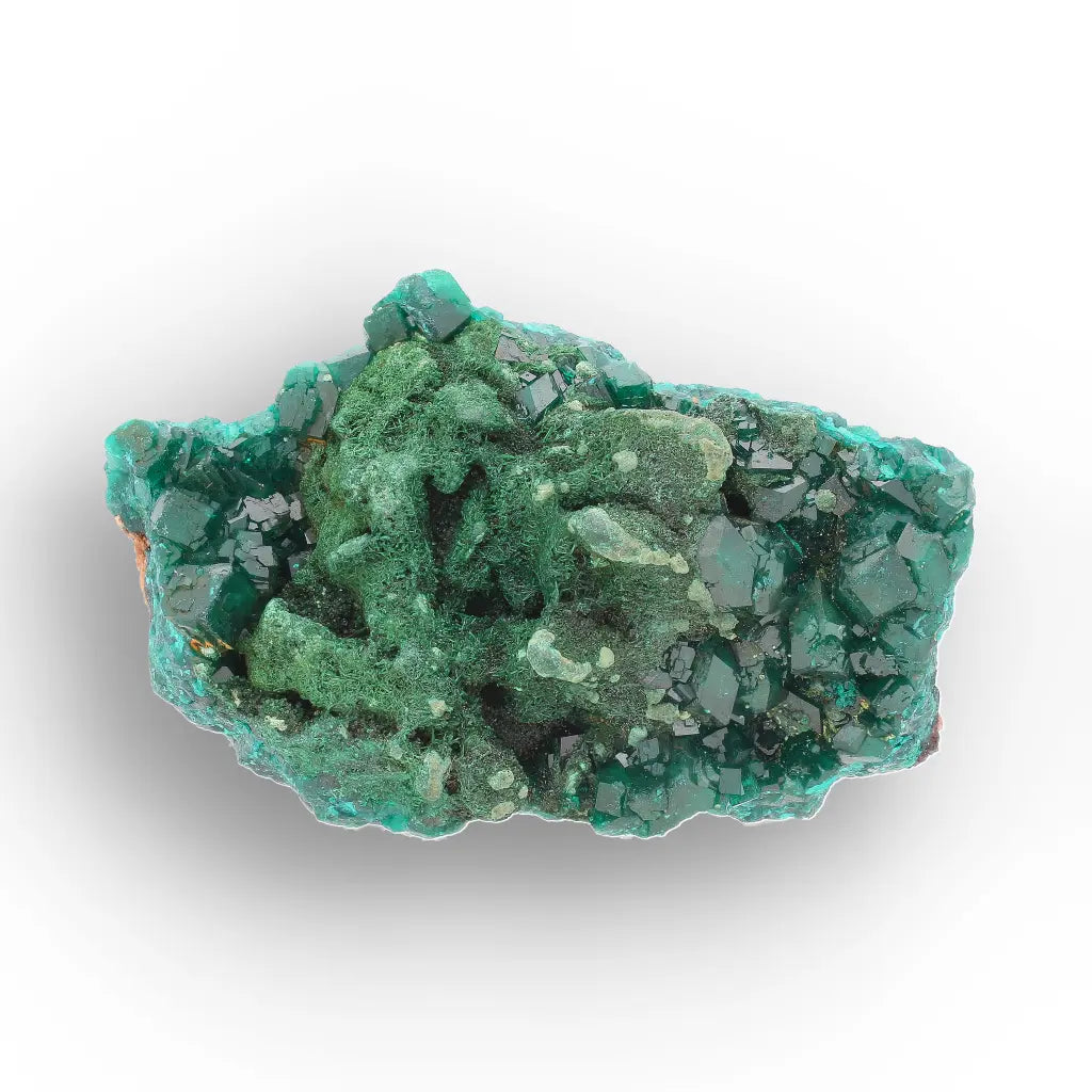 Dioptase and Malachite on Matrix – Mindouli, Congo