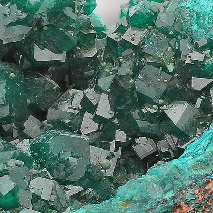 Dioptase on Matrix – Mindouli, Congo