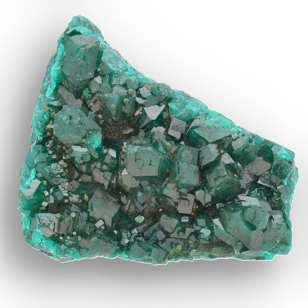 Dioptase Crystal Cluster on Matrix – Congo Mineral Specimen