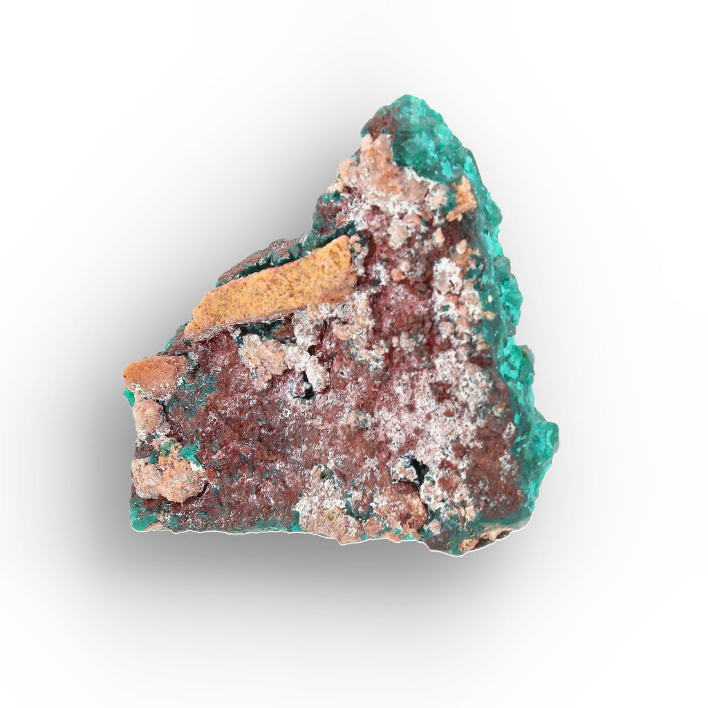 Dioptase Crystal Cluster on Matrix – Congo Mineral Specimen