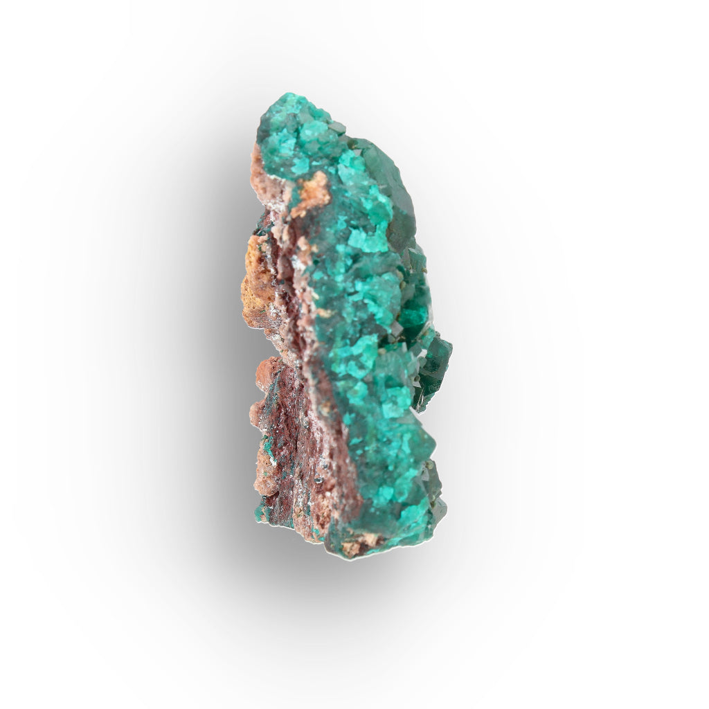 Dioptase Crystal Cluster on Matrix – Congo Mineral Specimen