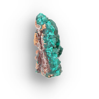 Dioptase Crystal Cluster on Matrix – Congo Mineral Specimen